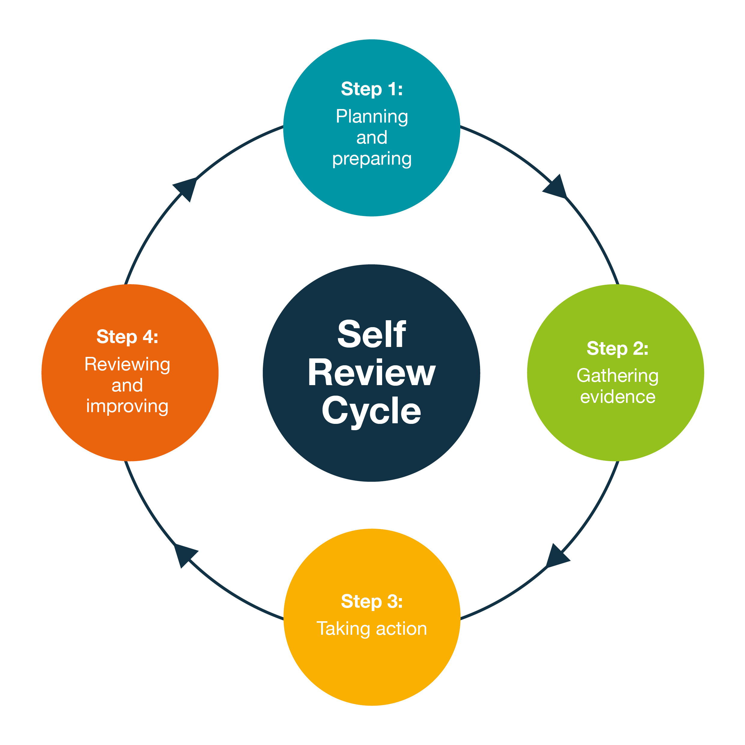 BFNZ SelfReviewCycleDiagram
